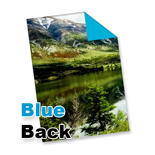 Blueback Poster per Stuk